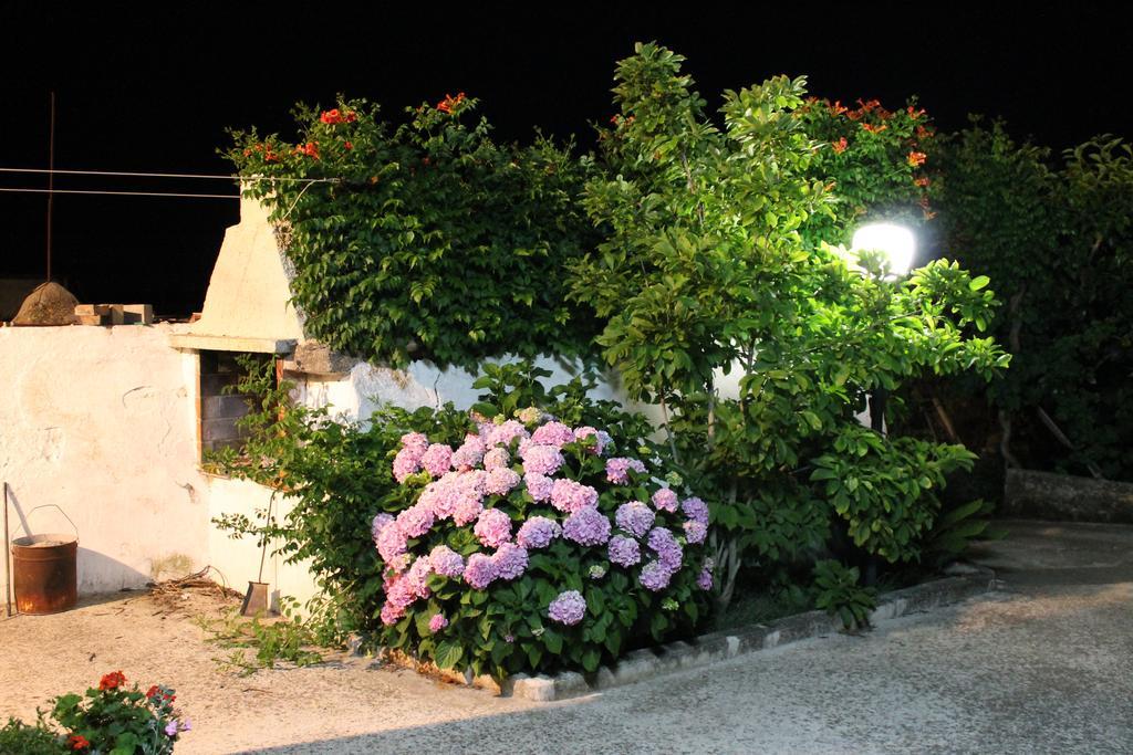 مبيت وإفطار ألبيروبيللو La Casa Del Nonno المظهر الخارجي الصورة