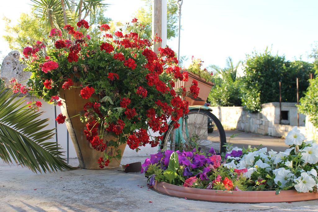 مبيت وإفطار ألبيروبيللو La Casa Del Nonno المظهر الخارجي الصورة