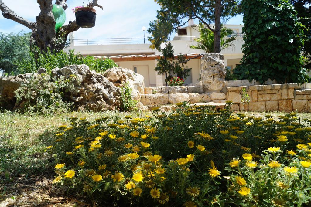 مبيت وإفطار ألبيروبيللو La Casa Del Nonno المظهر الخارجي الصورة