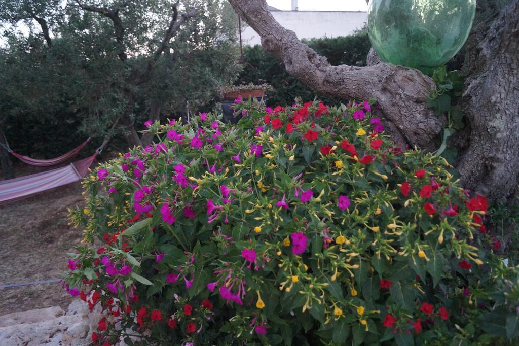 مبيت وإفطار ألبيروبيللو La Casa Del Nonno المظهر الخارجي الصورة