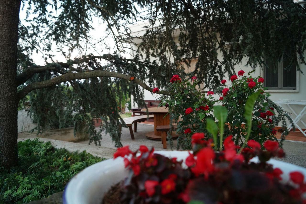 مبيت وإفطار ألبيروبيللو La Casa Del Nonno المظهر الخارجي الصورة