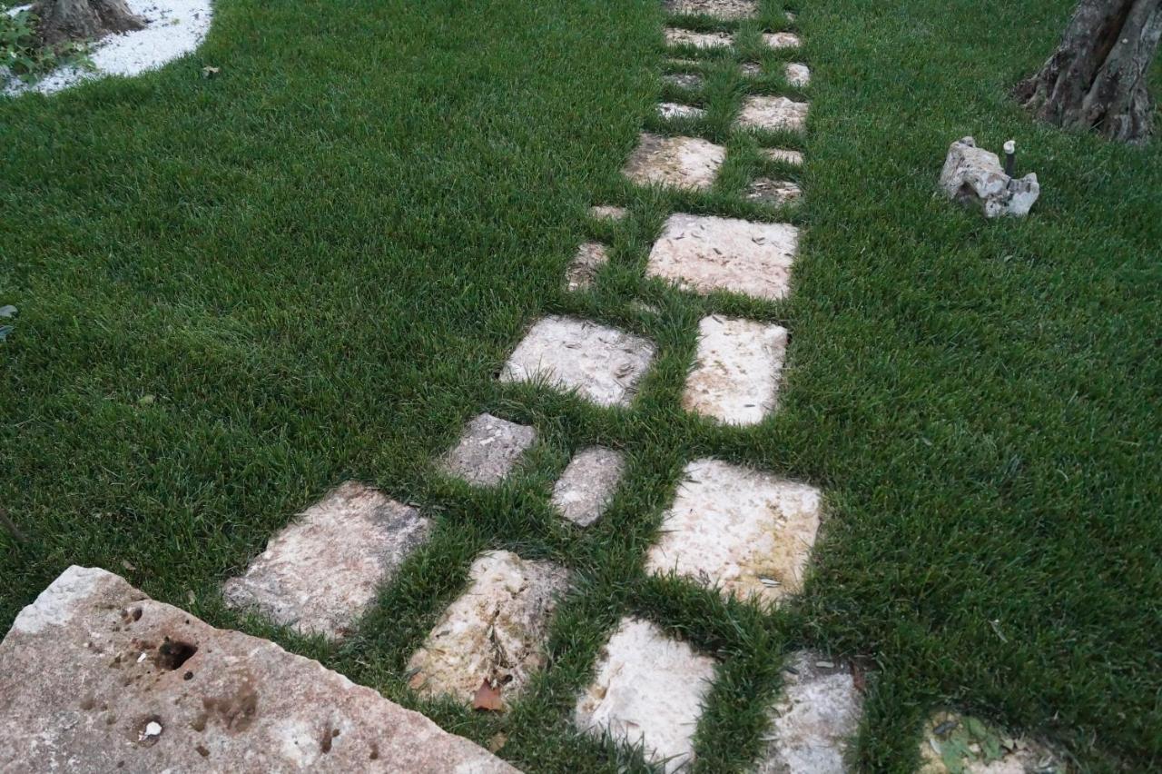 مبيت وإفطار ألبيروبيللو La Casa Del Nonno المظهر الخارجي الصورة